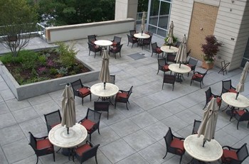 The Terraces at Skyline at First Hill