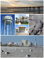 Images from top, left to right: Jacksonville Beach Pier, water tower, Jacksonville Beach City Hall, Sea Walk Pavilion, Adventure Landing, Freebird Live, Jacksonville Beach