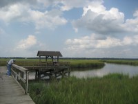 The marshes of James Island, SC